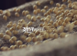 劲仔